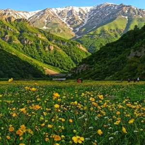 دانلود آهنگ تو نفسی همه کسی کنسرت از حجت اشرف زاده